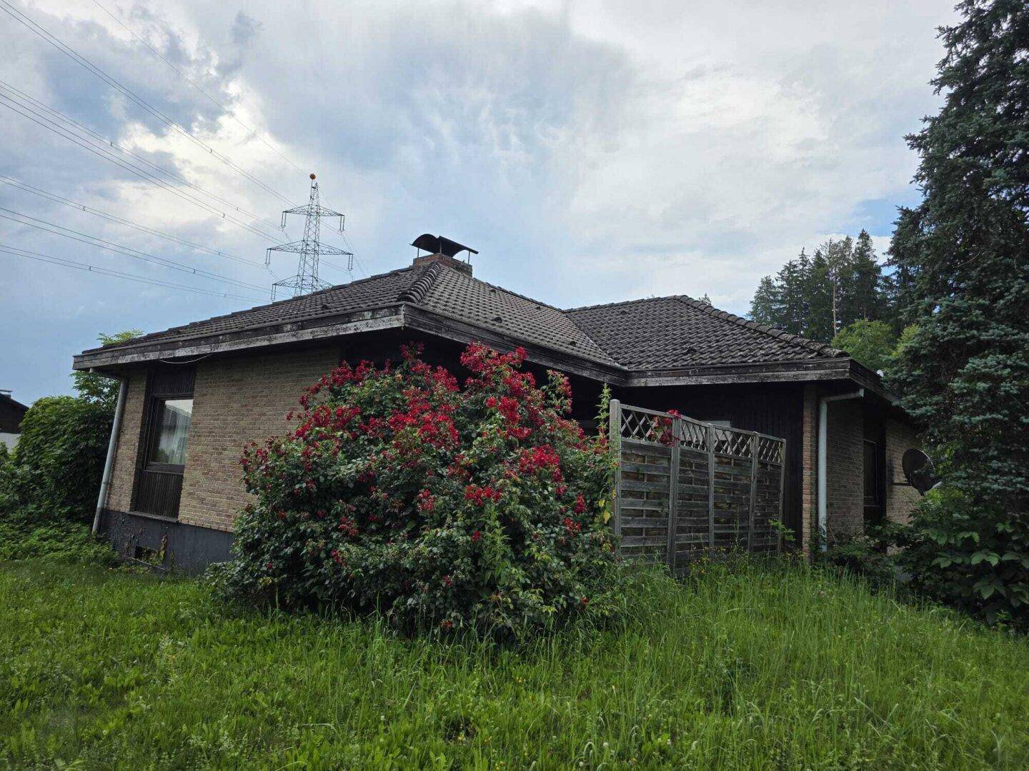 Rückansicht des Hauses mit Ziegelfassade, üppiger Vegetation und Strommasten im Hintergrund.