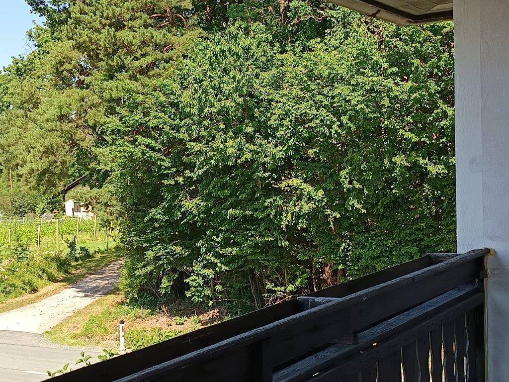 Blick von einem Balkon auf dichte grüne Bäume und einen kleinen Weg.