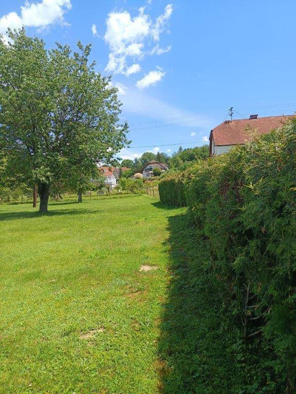Grüne Rasenfläche mit einer hohen Hecke und Häusern in der Ferne unter einem strahlend blauen Himmel.