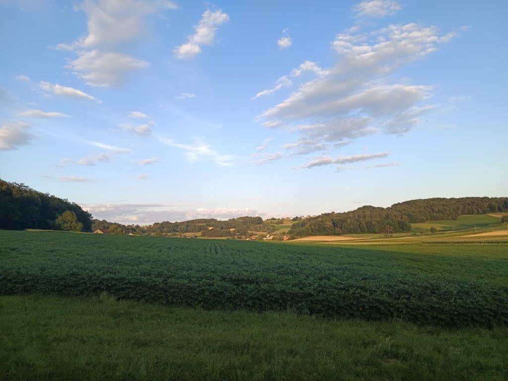 Ruhige Abendstimmung über weiten grünen Feldern und bewaldeten Hügeln unter einem bewölkten Himmel.