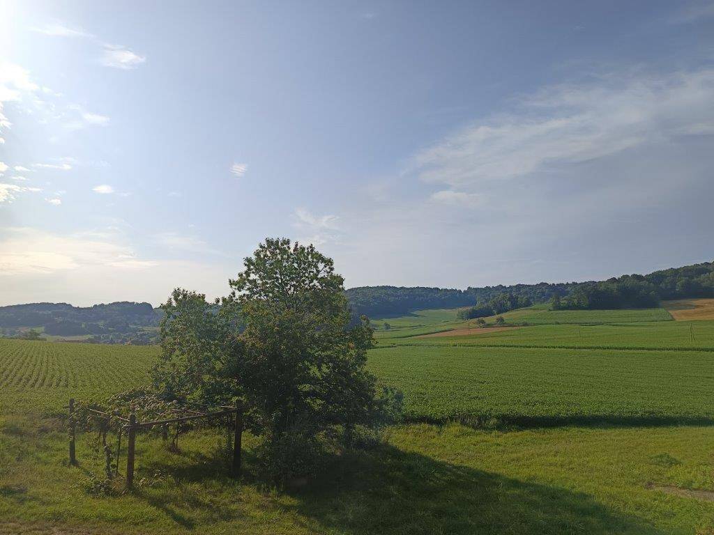 Weitläufiger Panoramablick über die grüne Hügellandschaft und landwirtschaftliche Felder.