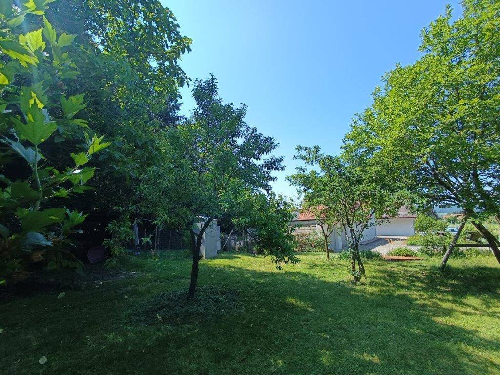 Weitläufiger grüner Garten mit jungen Bäumen und Blick auf ein entferntes Gebäude.