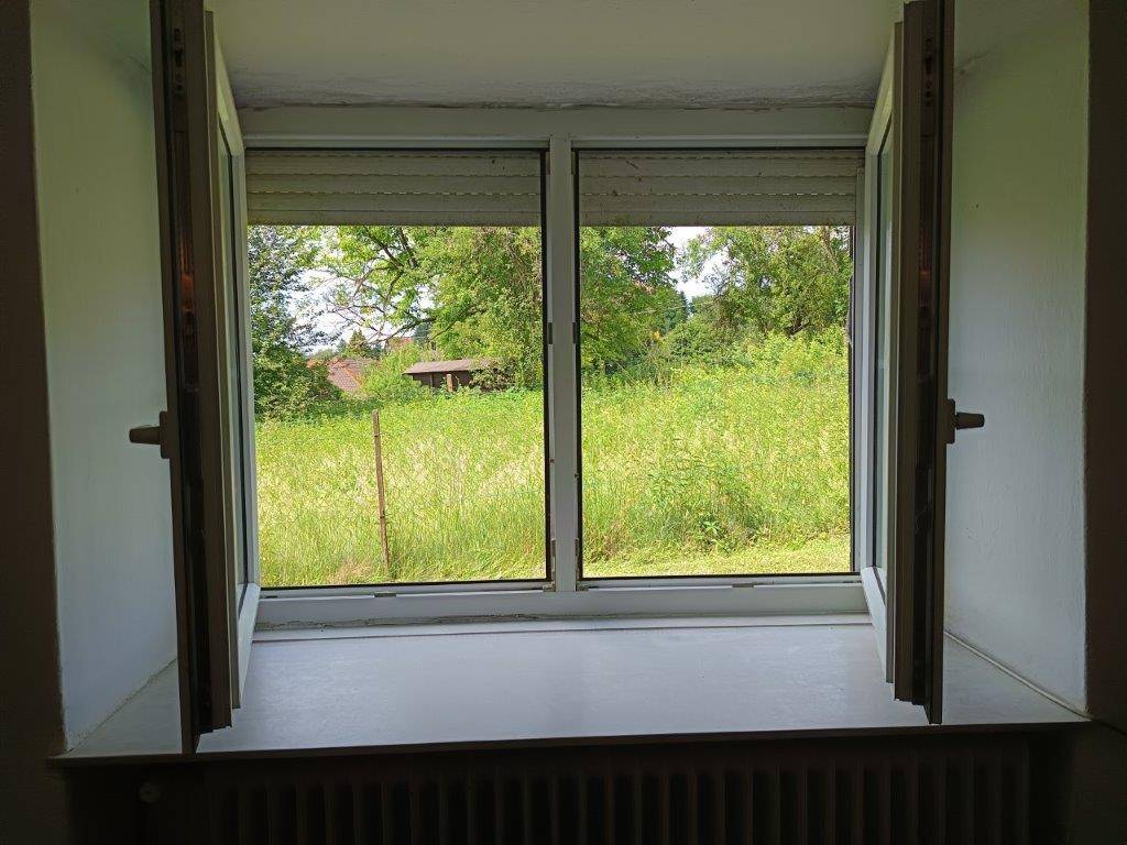 Fenster mit weitem Blick auf eine grüne Wiese und Bäume im Hintergrund, mit Rollläden.
