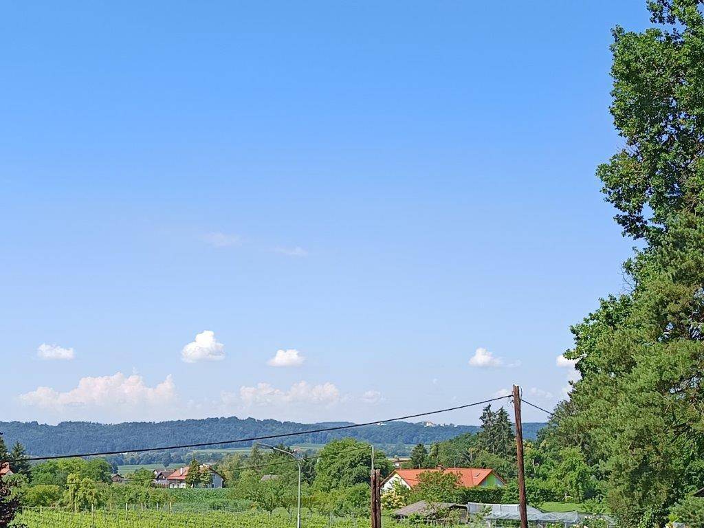 Weitläufige grüne Landschaft mit Bäumen, Häusern und einem klaren blauen Himmel.