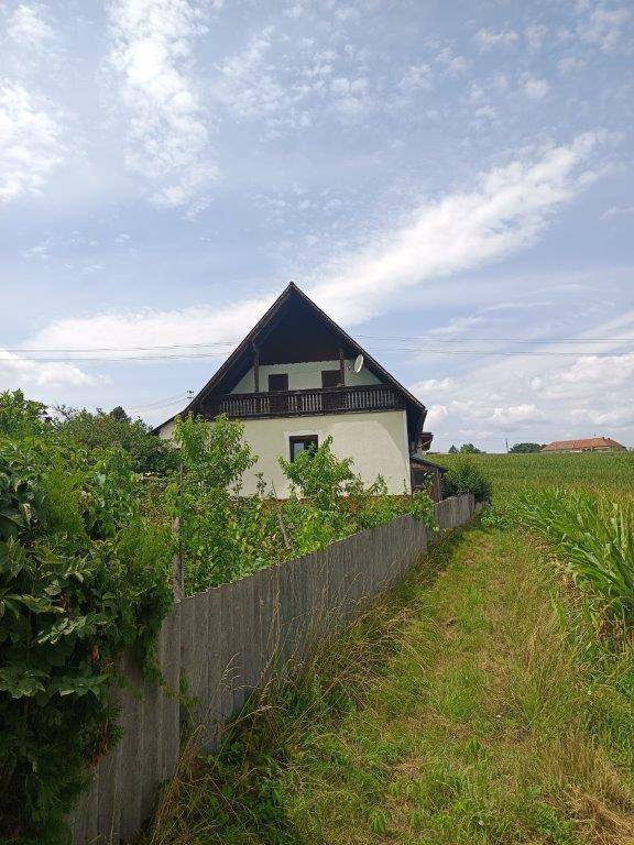 Hausansicht von einem Feldweg aus, umgeben von grünen Feldern und üppiger Vegetation.