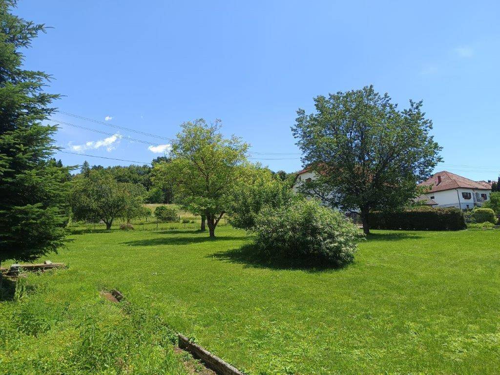 Weitläufiger grüner Garten mit mehreren Bäumen und einem Haus im Hintergrund unter blauem Himmel.