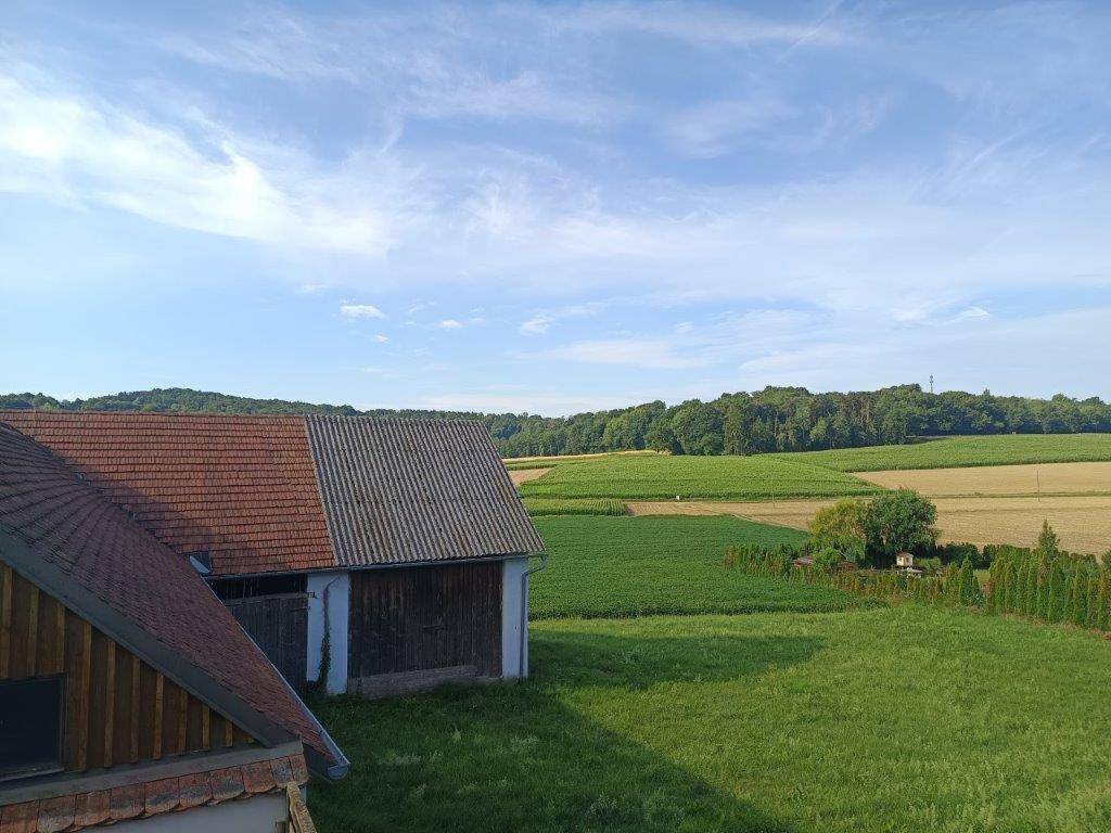 Panoramablick über weite grüne Felder und Wälder von der erhöhten Position des Anwesens.