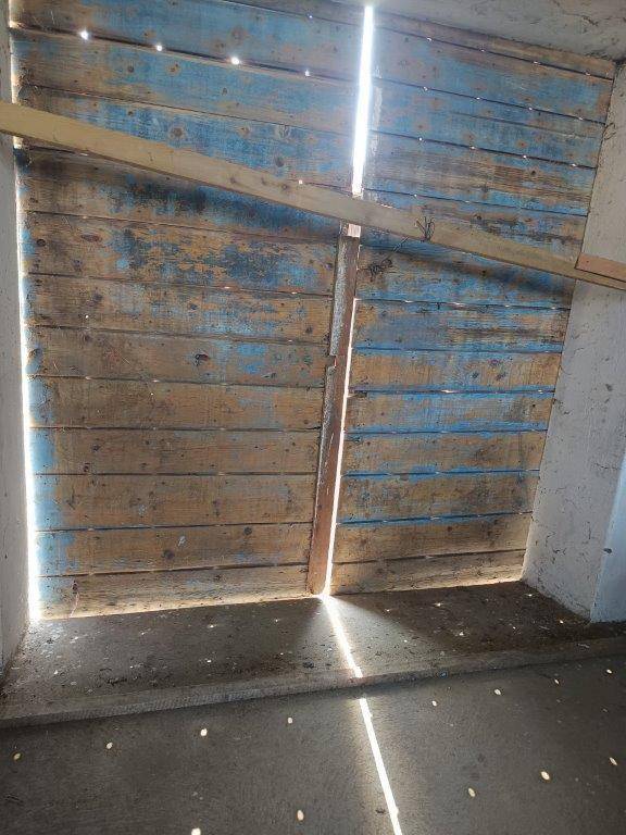 Detailaufnahme einer alten Holzwand mit abblätternder Farbe, durch deren Ritzen Sonnenlicht fällt.