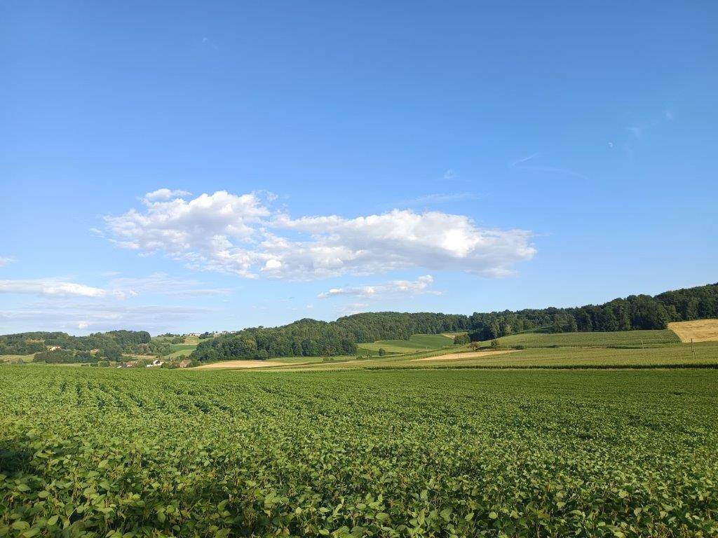 Panoramablick über weite grüne Felder und sanfte Hügel, bedeckt mit Wäldern unter blauem Himmel.