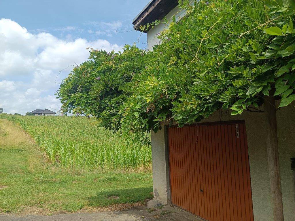Braunes Garagentor umgeben von üppigem Grün und einem angrenzenden Maisfeld.
