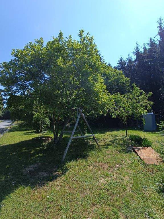 Grüner Gartenbereich mit Bäumen, Rasenfläche und einem kleinen Schuppen unter blauem Himmel.