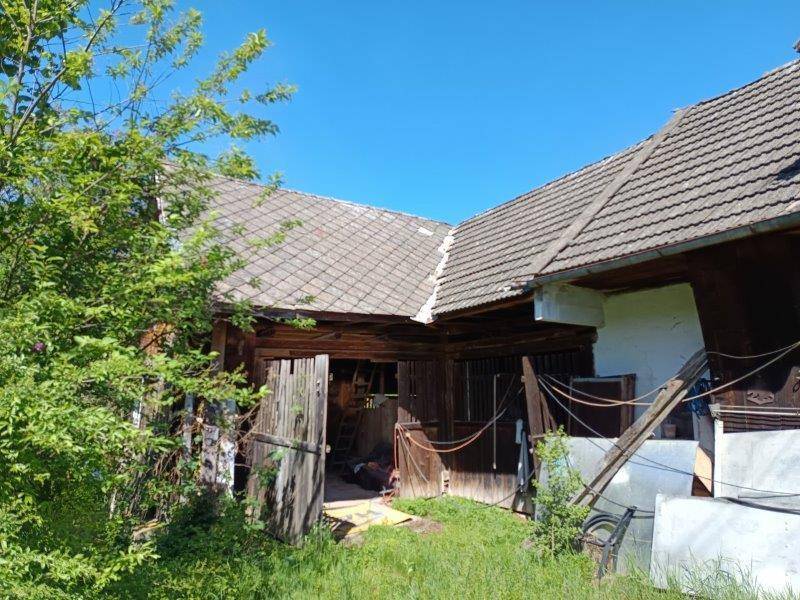 Original Streckhof in Massivbauweise im Dornröschenschlaf - Ansicht 4