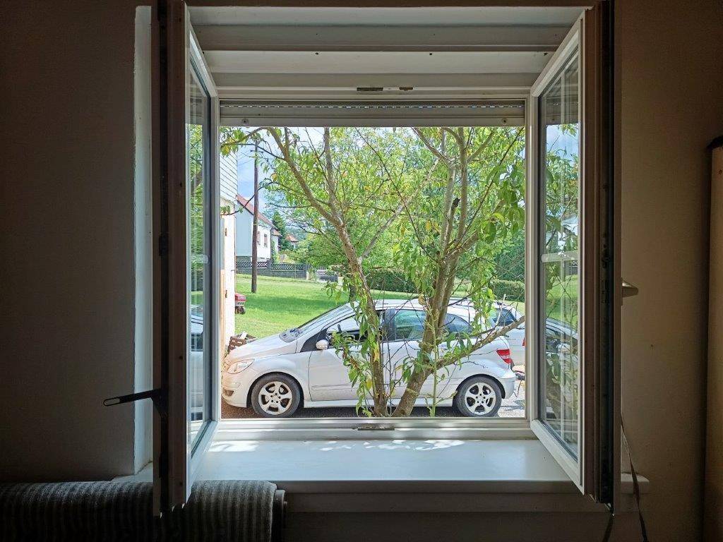 Fenster mit Blick auf einen geparkten Wagen und grüne Bäume im Außenbereich, mit Rollladen.