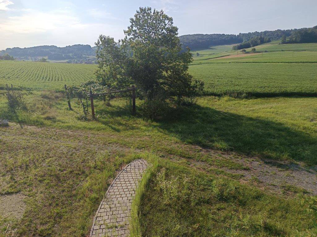 Gartenweg führt durch den grünen Bereich mit Weinreben und Blick auf die Felder.