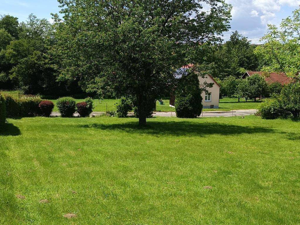 Weitläufiger Rasenbereich mit Bäumen und Häusern im Hintergrund, umgeben von üppigem Grün.