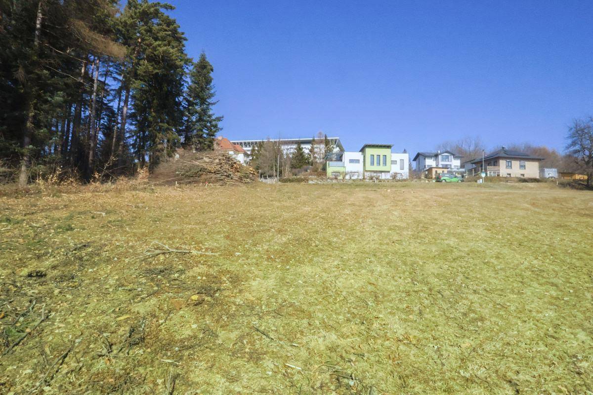 Grünfläche mit Holzstapeln am Waldrand und modernen Häusern im Hintergrund unter klarem Himmel.