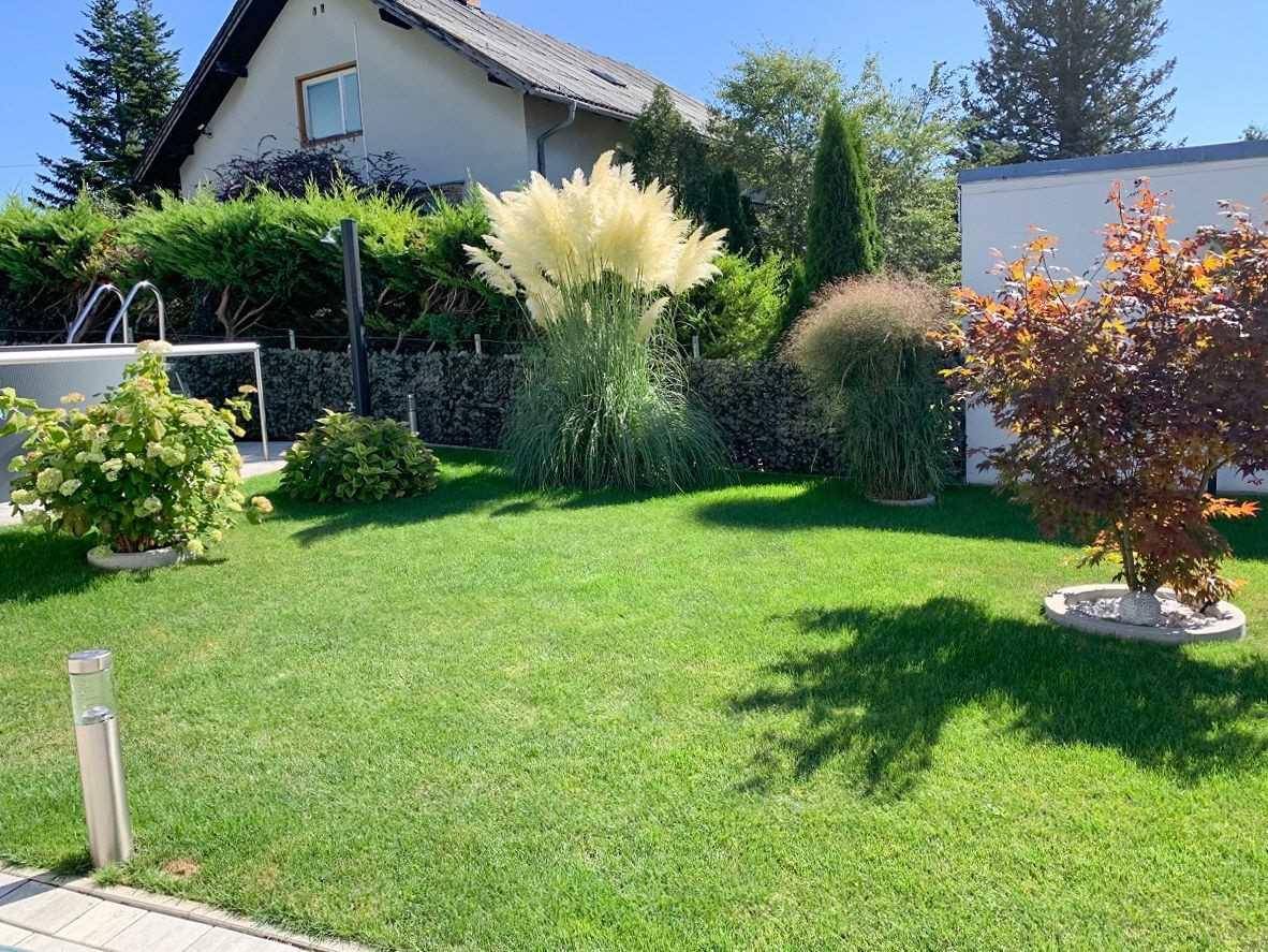 Gepflegte Rasenfläche mit Ziergräsern und Sträuchern in einem sonnigen Gartenbereich.