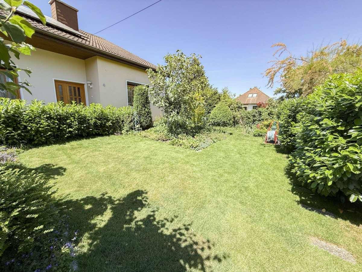 Sonnige Rasenfläche im Garten mit Bäumen und Sträuchern.
