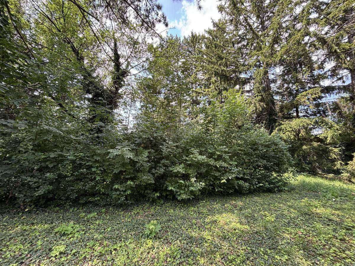 [06652] Projektchance in Theresienfeld: Baugrund mit Naturcharme - Mehr