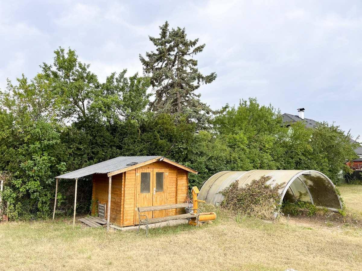 Kleiner Holzschuppen und ein Gewächshaus auf einer weitläufigen Rasenfläche, umgeben von Bäumen.