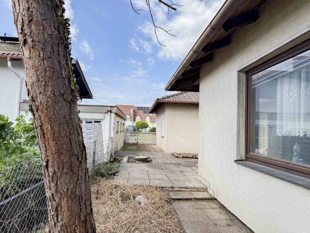 Gepflasterter Außenbereich neben dem Haus mit altem Baumbestand und Zaun.