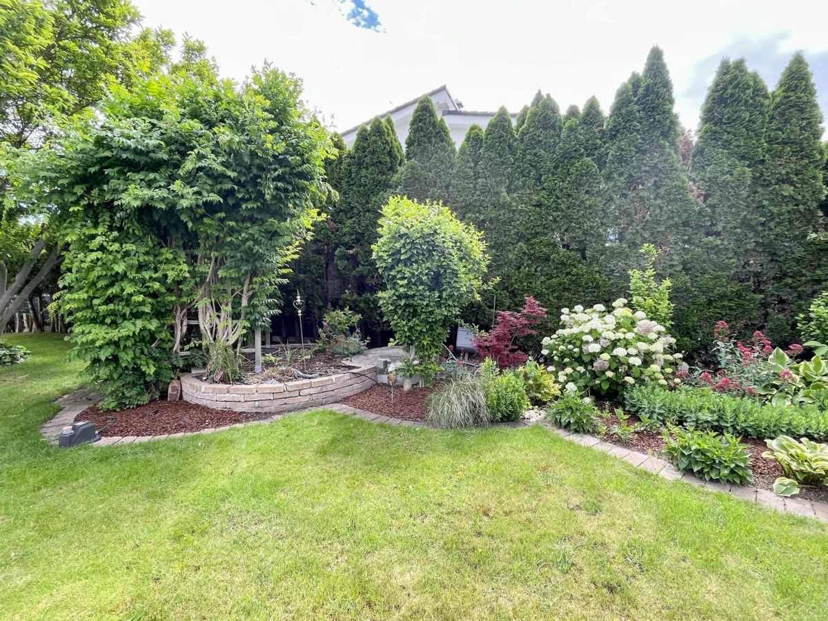 Gepflegter Gartenbereich mit vielfältiger Bepflanzung, Sträuchern und Rasenfläche.