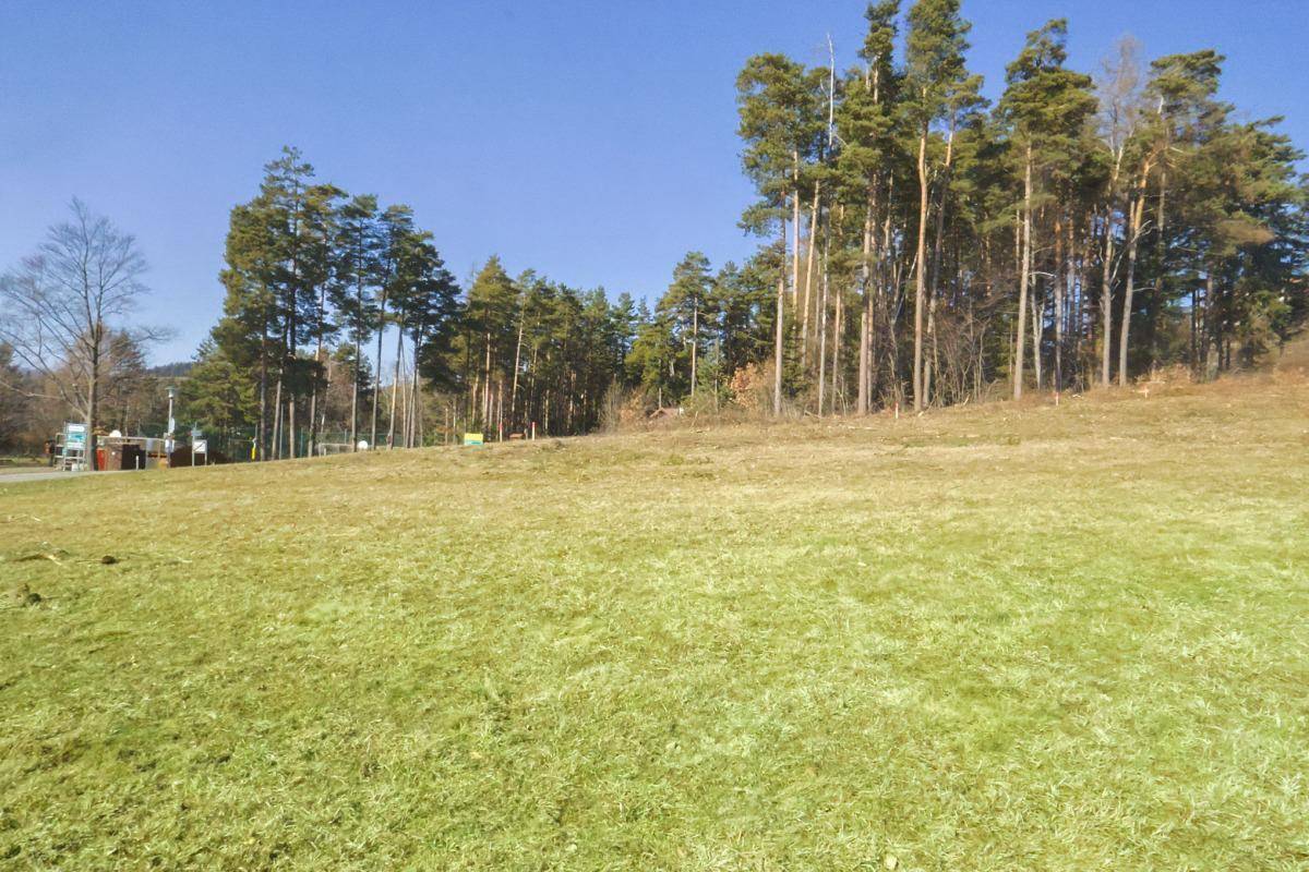 Großes, offenes Wiesengrundstück mit angrenzendem Wald und Infrastruktur in der Ferne.