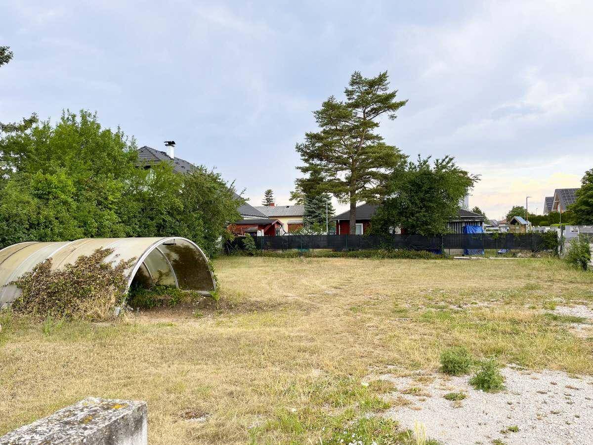 Offene Gartenfläche mit einem Gewächshaus und Blick auf die Nachbarschaft, umgeben von Bäumen.