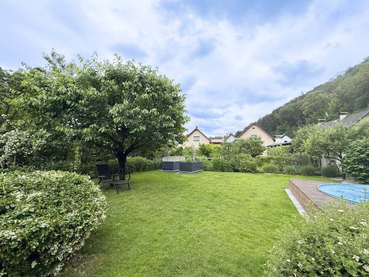 Weitläufiger Garten mit gepflegtem Rasen, alten Bäumen und Blick auf die umliegenden Häuser.