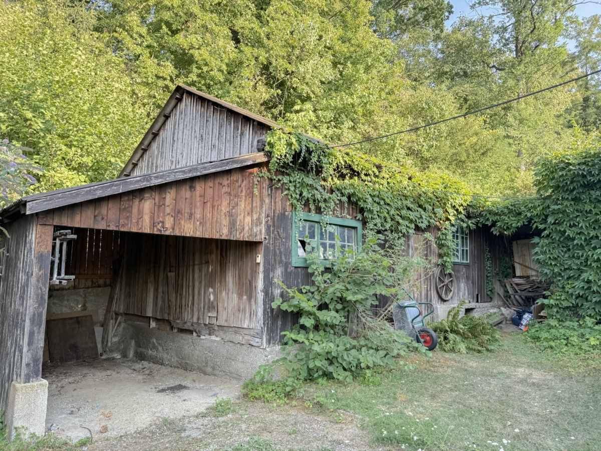 Altes Holzschuppen oder Nebengebäude mit starker Begrünung und Vordach.