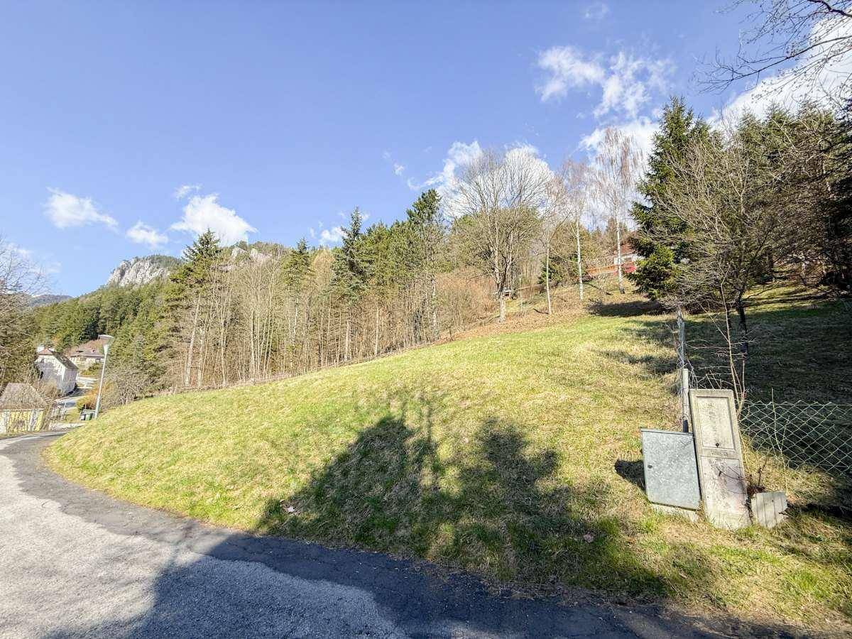 [06724] RESERVIERT - Unser Grundstück im Erholungsgebiet Semmering - Ansicht 6