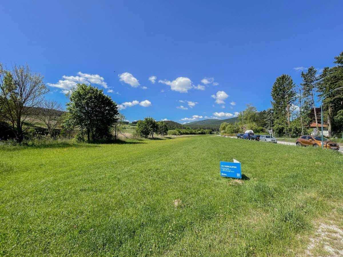 Großes grünes Baugrundstück unter blauem Himmel mit einem "Zu Verkaufen"-Schild und Hügeln im Hintergrund.