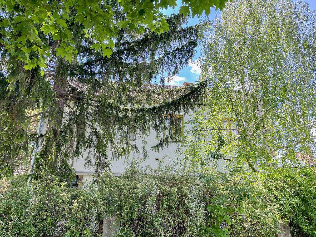 Hausfassade, teilweise verdeckt von dichten Baumkronen und Büschen, unter blauem Himmel.