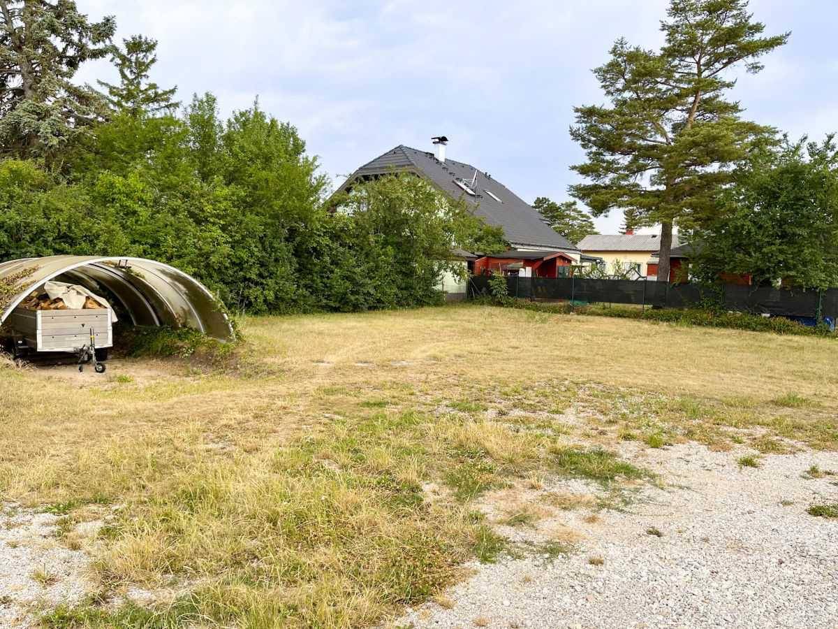 Weitläufige Gartenfläche mit trockenem Rasen, einem Gewächshaus und Blick auf umliegende Häuser.