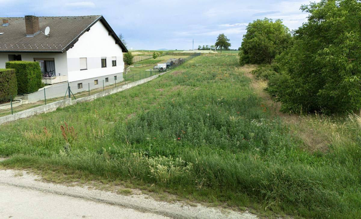 Blick auf ein grünes Grundstück neben einem Wohnhaus mit Hecke und weiter Landschaft im Hintergrund.