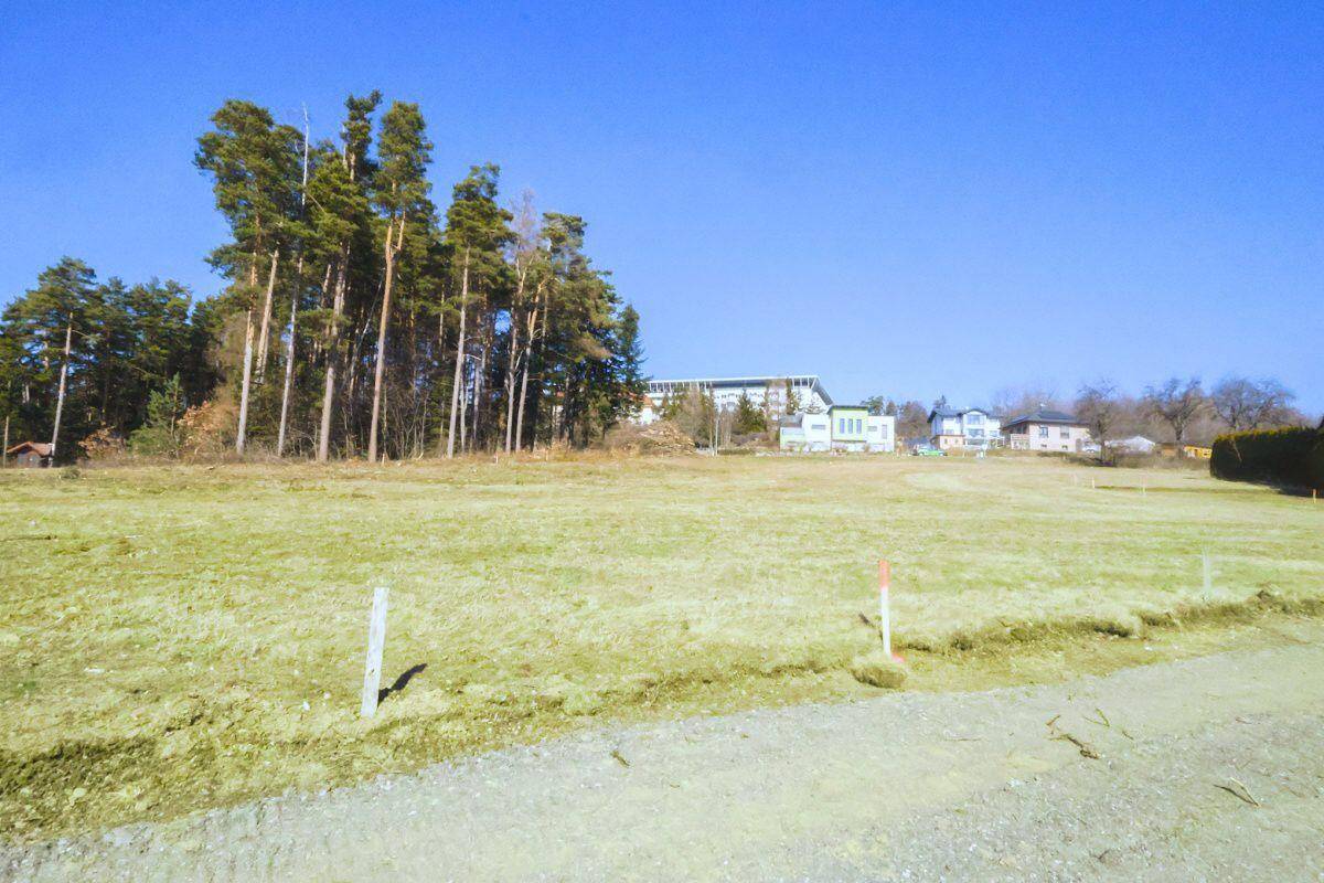 Weitläufiges Wiesengrundstück mit Waldrand und moderner Bebauung im Hintergrund unter blauem Himmel.