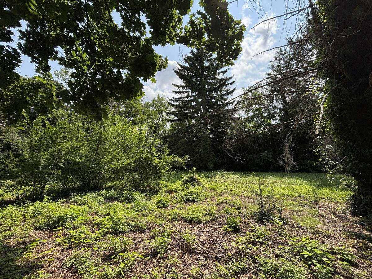 [06652] Projektchance in Theresienfeld: Baugrund mit Naturcharme - Ansicht 4