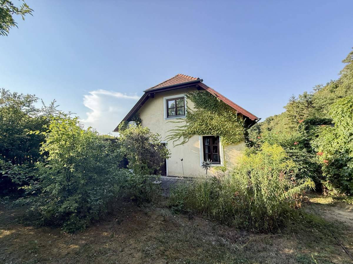 Rückansicht des Hauses mit bewachsenen Wänden und umgebender Natur.