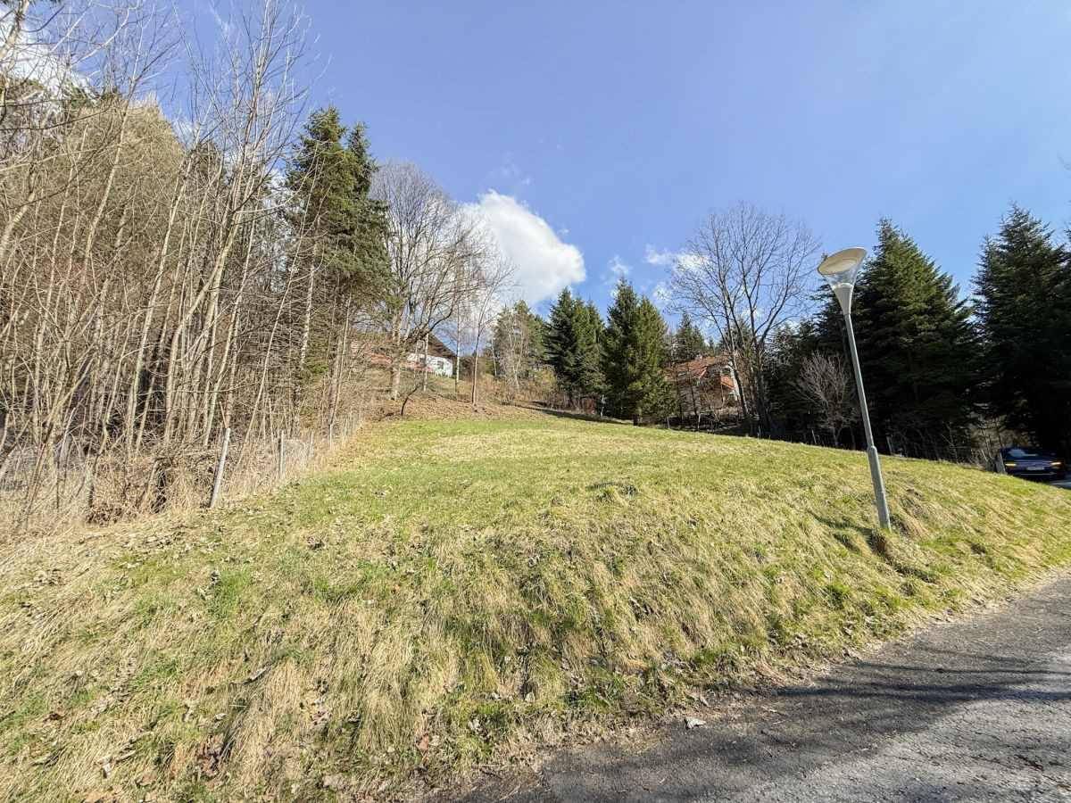 [06724] RESERVIERT - Unser Grundstück im Erholungsgebiet Semmering - Ansicht 5