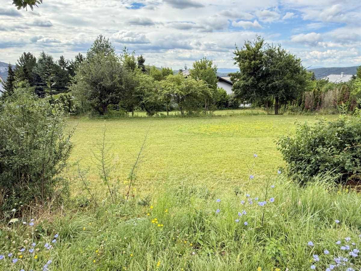 Weitläufige Rasenfläche mit Bäumen und Wildblumen, bietet einen weiten Blick auf die umliegende Landschaft.