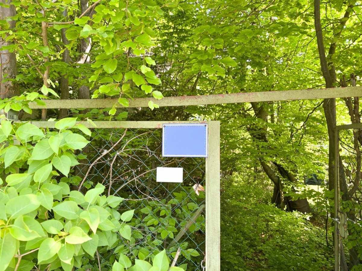 Grüner Metallzaun, stark bewachsen mit dichtem Laub, vor einem Hintergrund aus Bäumen.