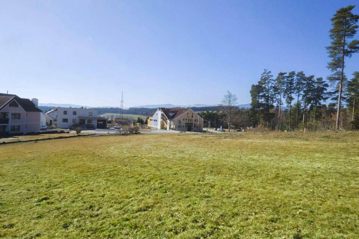 Weitläufiges grünes Grundstück mit Blick auf verschiedene Wohnhäuser und einen angrenzenden Wald.