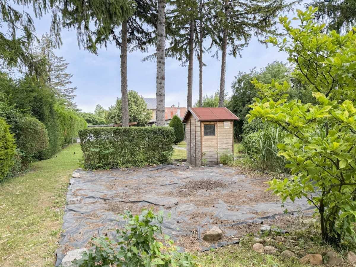 Gartenbereich mit einem kleinen Holzschuppen, Hecke und vorbereitetem Beet für neue Pflanzen.