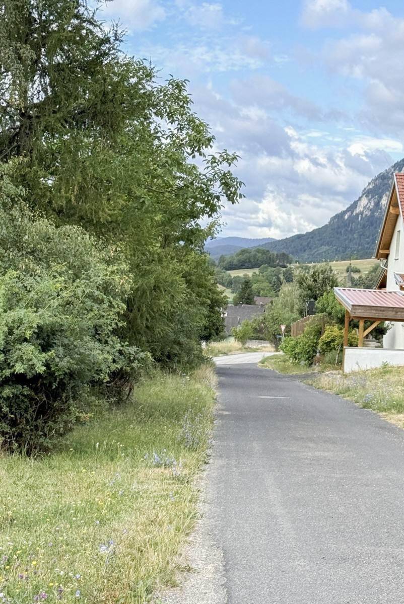 Ländliche Straße führt durch eine grüne Landschaft mit Bäumen und Bergen im Hintergrund.