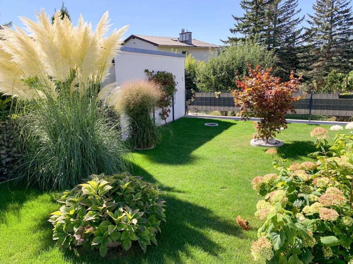 Sonnige Rasenfläche mit dekorativen Pflanzen und Sträuchern im hinteren Gartenbereich des Hauses.