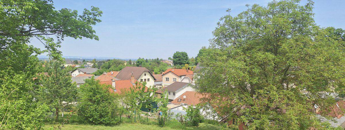 Grüne Landschaft mit Bäumen und Blick auf die charmanten Häuser einer ländlichen Siedlung.