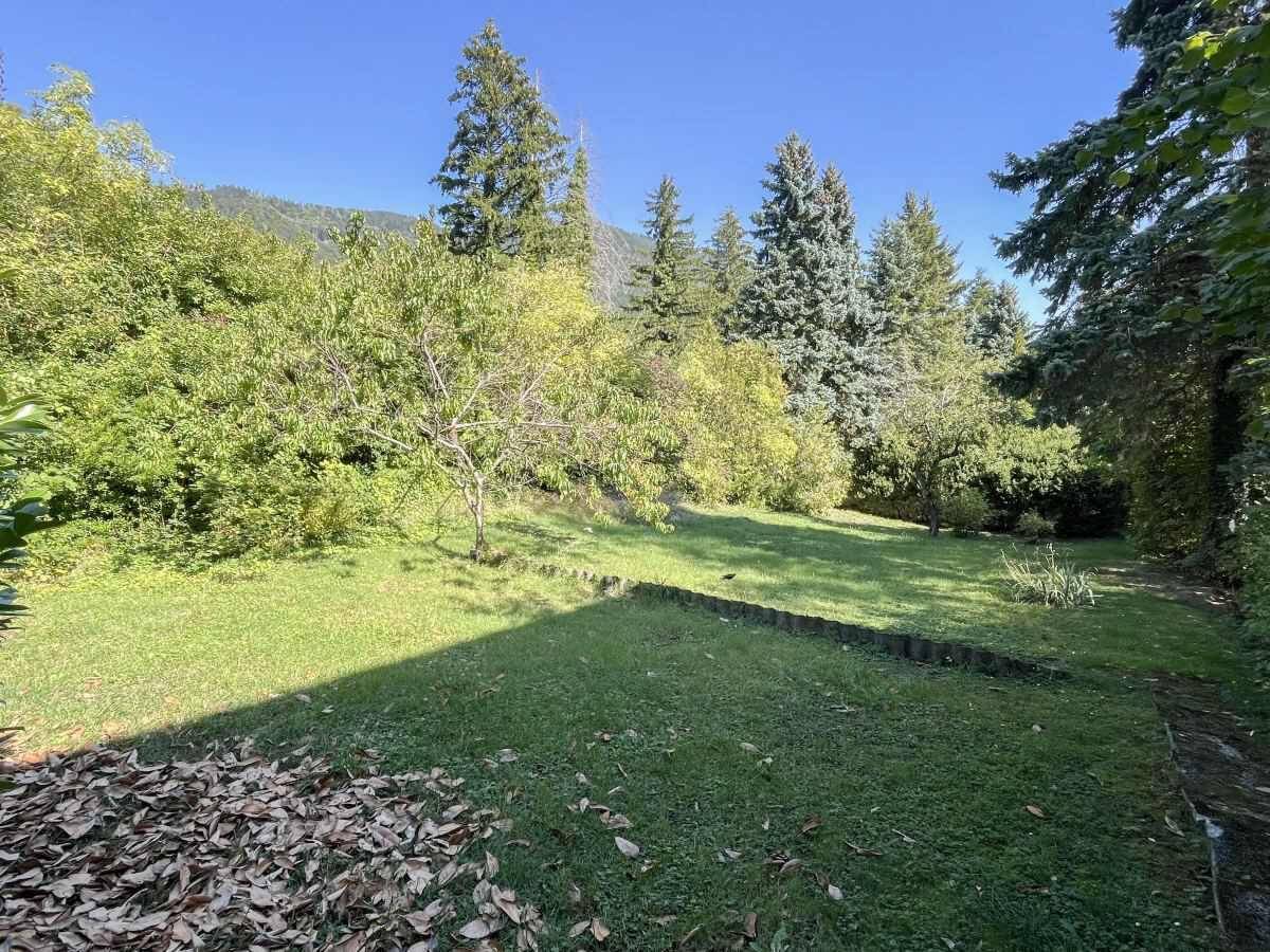 Großer, gepflegter Gartenbereich mit Rasenfläche und altem Baumbestand.