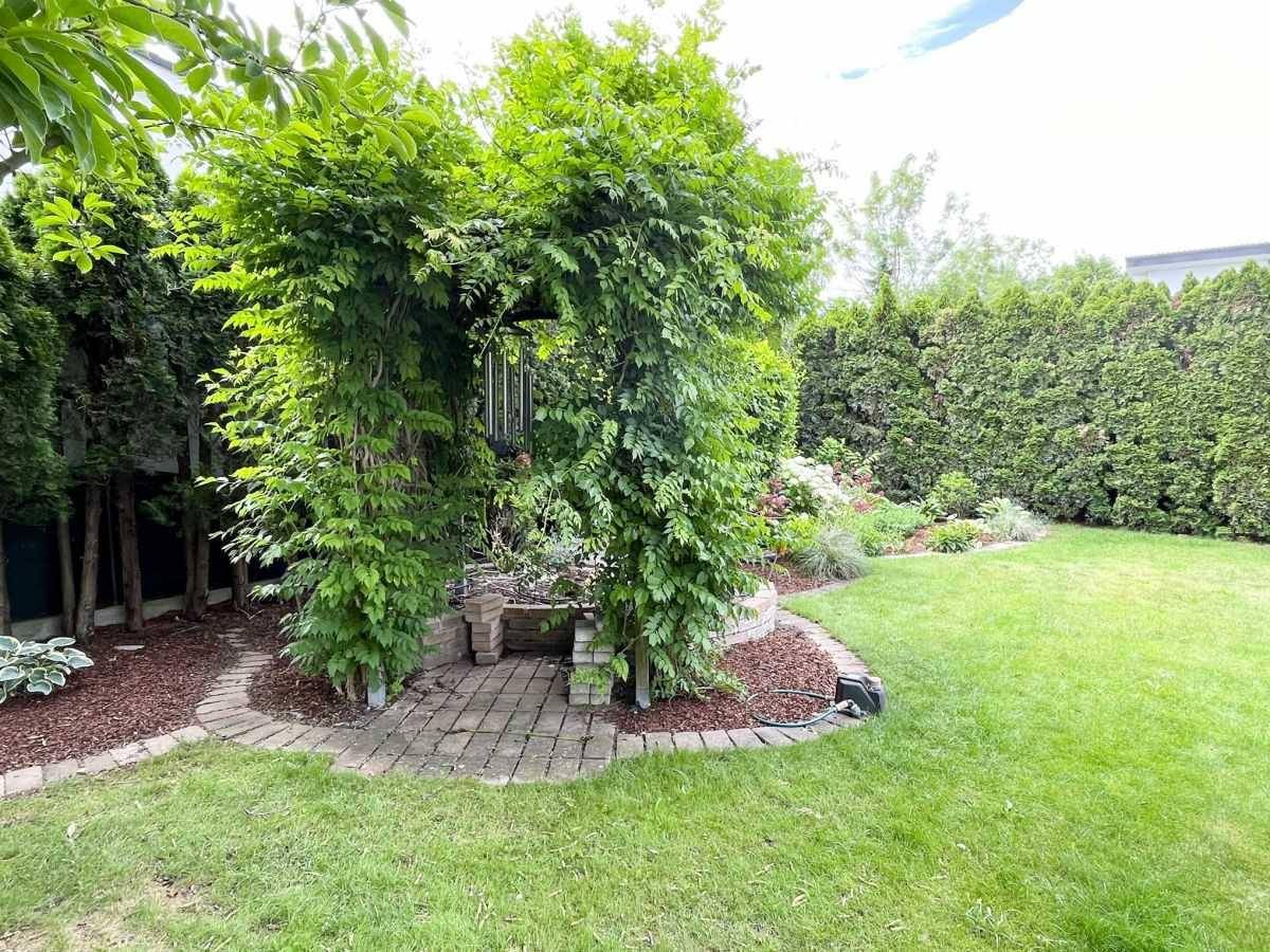 Grüner Garten mit Rasenfläche, üppiger Bepflanzung und bewachsener Pergola.