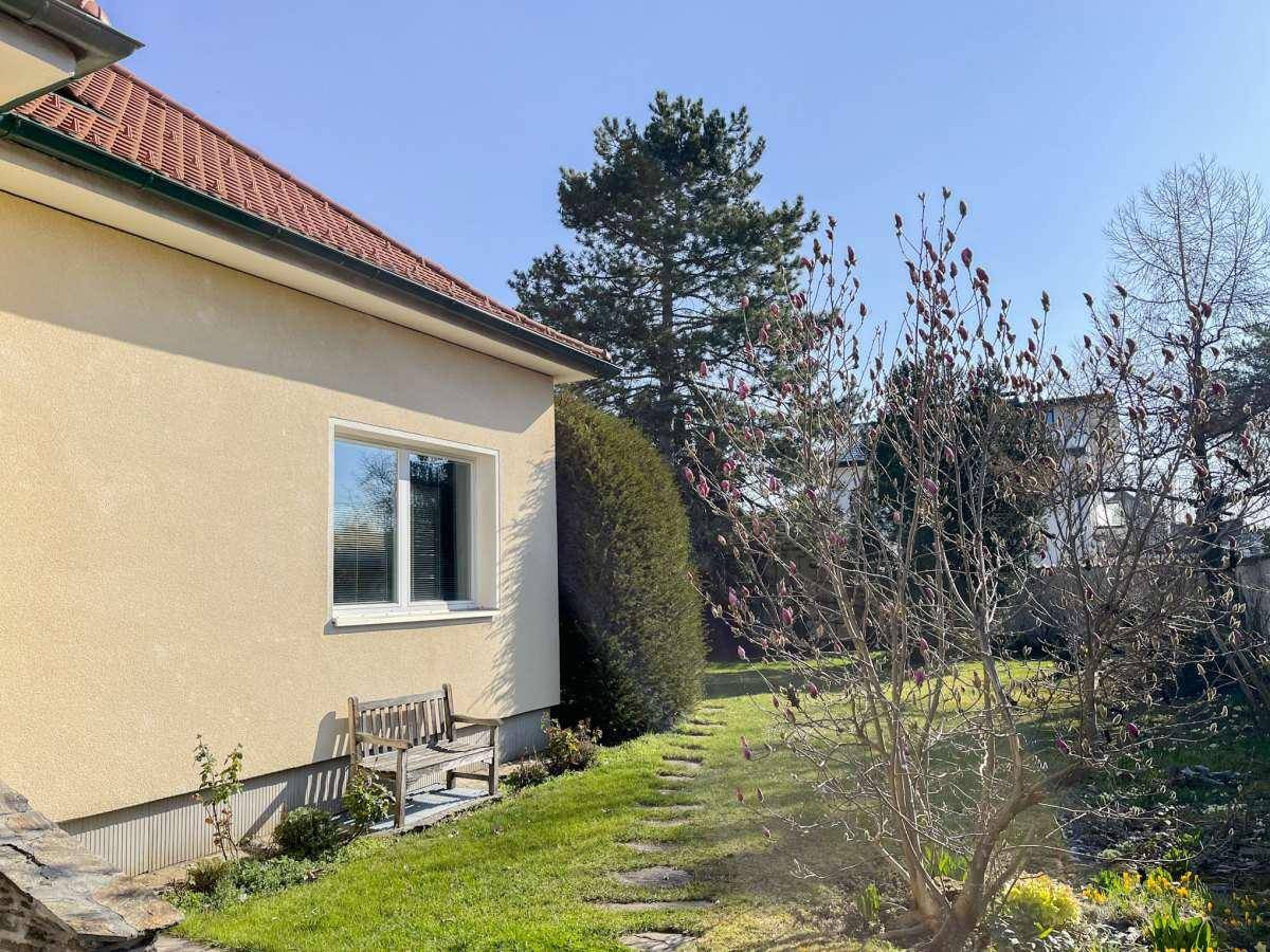 Seitlicher Gartenbereich mit Rasen, Bäumen und einer Holzbank unter einem Fenster.