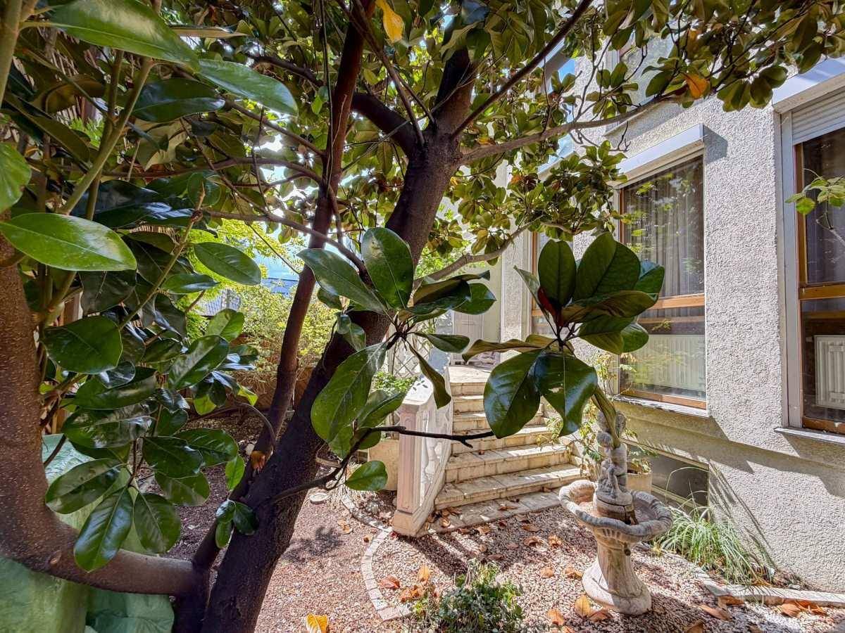 Mediterraner Gartenbereich mit altem Baum, Steintreppe und einem dekorativen Brunnen.